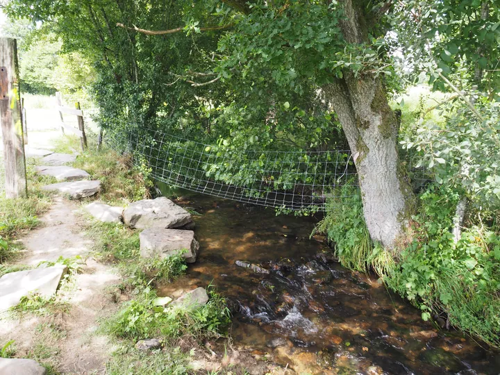 Ferme de la Planche (barefoot path) (België)